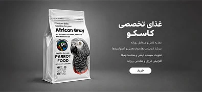 بیات پروت - اسلاید ۱